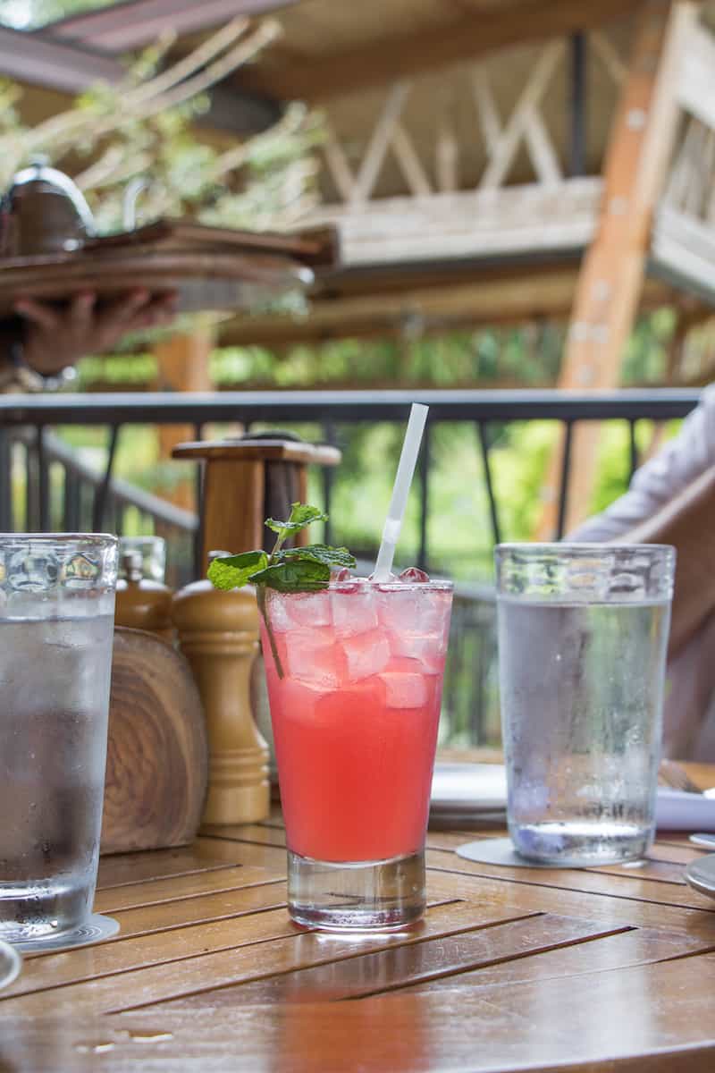 Andaz Papagayo