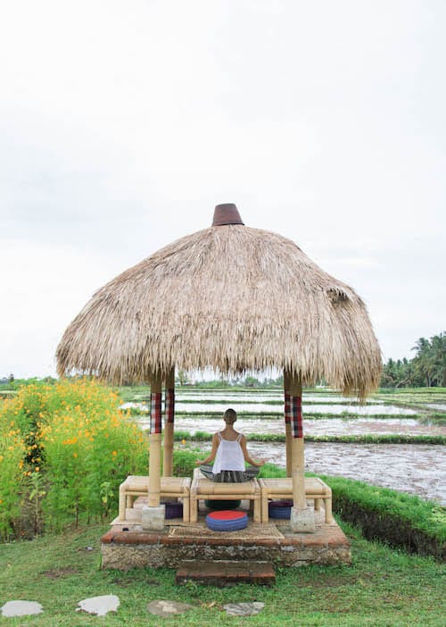 desa visesa ubud