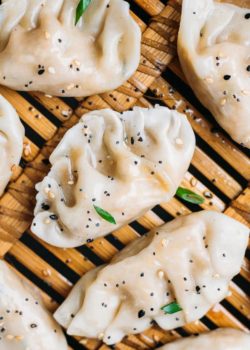 vegetarian steamed dumplings