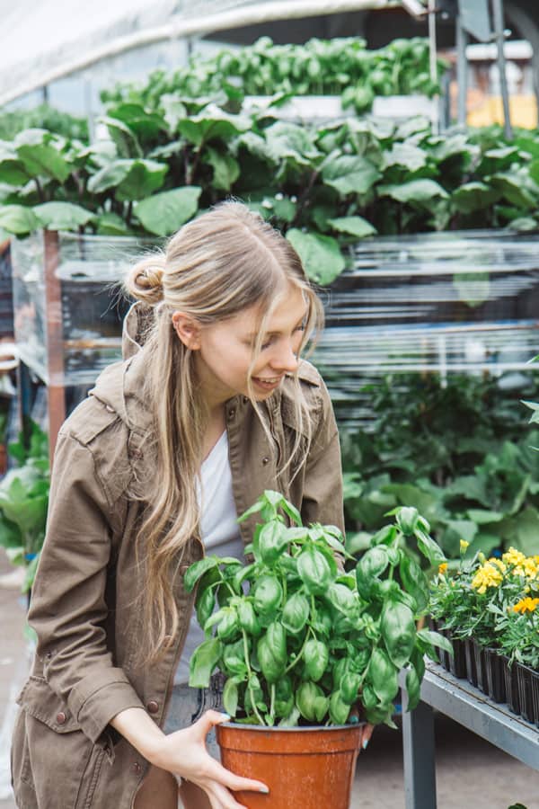6 tips to shop the farmer's market like a pro