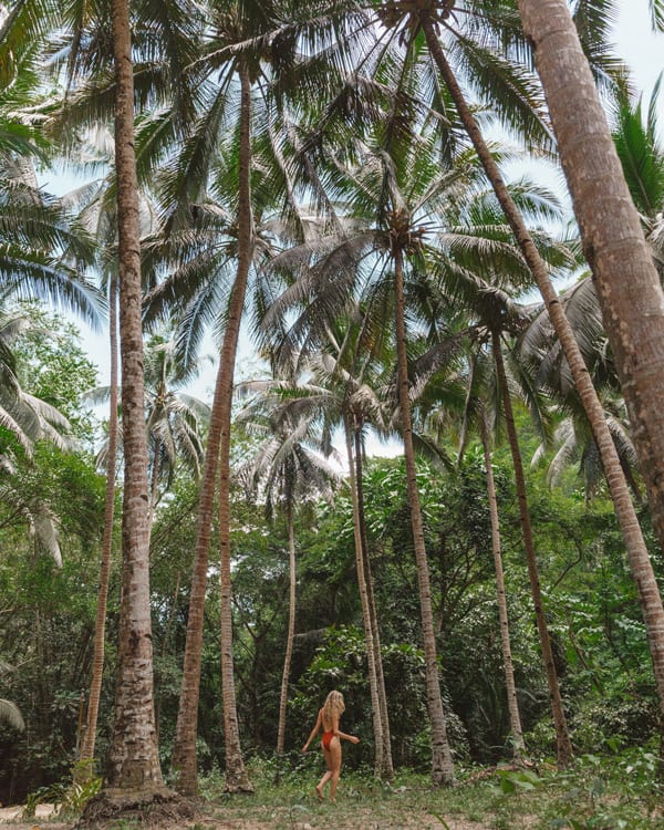 the philippines in 2 weeks