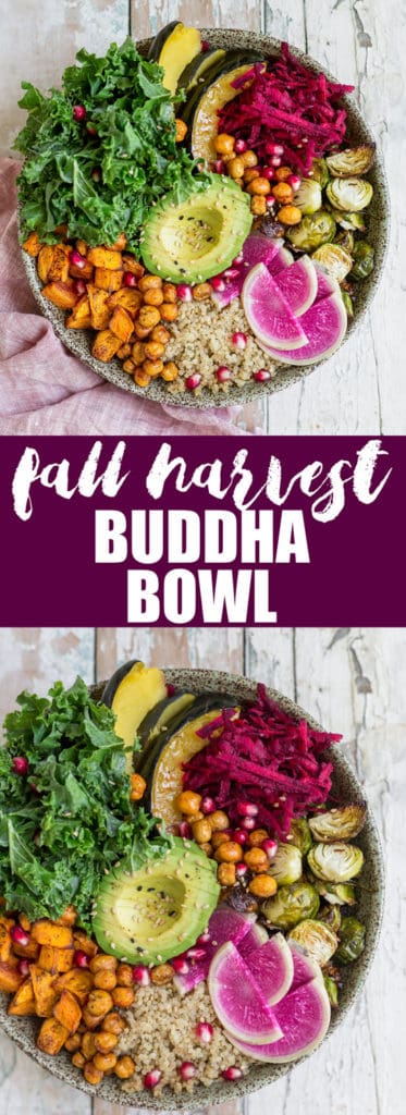 This healthy vegan fall harvest buddha bowl recipe is loaded with nourishing ingredients like sweet potato and chickpeas! Enjoy this healthy bowl for lunch or dinner!