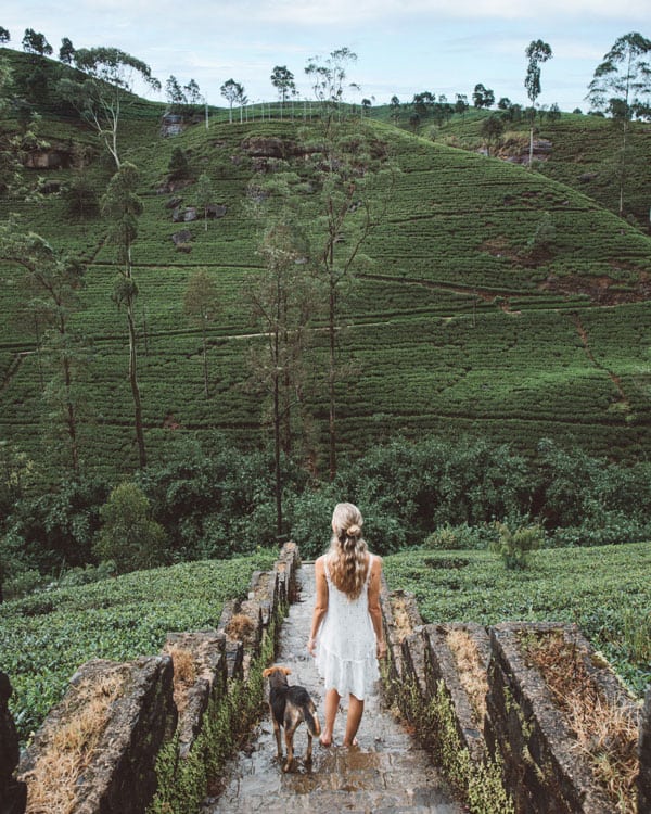Two week Sri Lanka travel guide