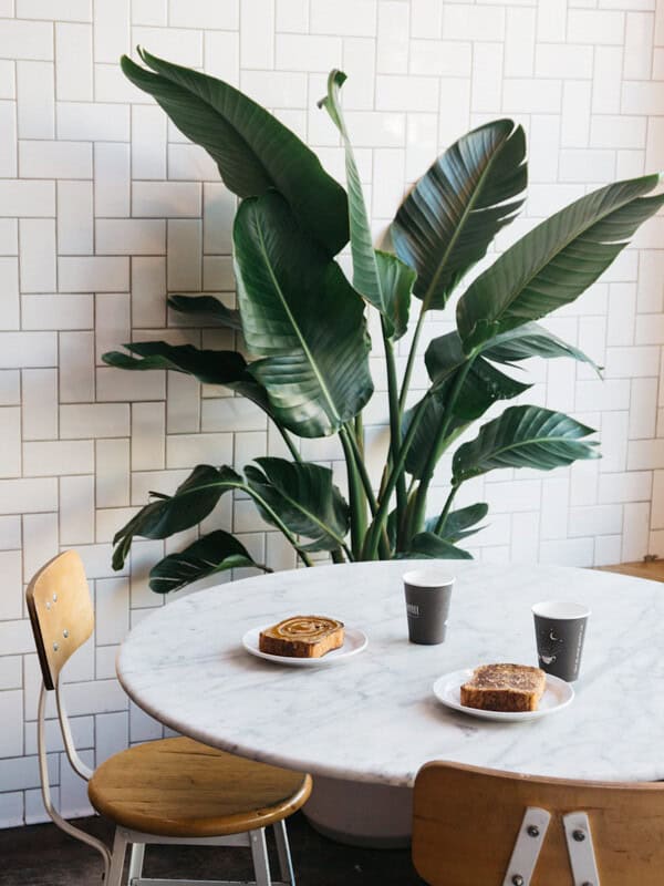 a foodie's guide to san francisco