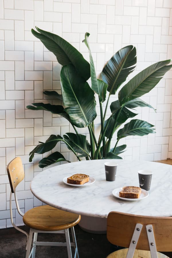a foodie's guide to san francisco