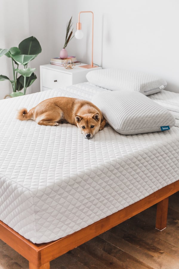 The ultimate bedtime routine for a better sleep