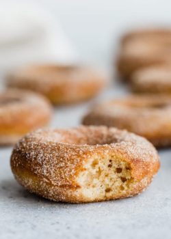 vegan pumpkin spice donuts