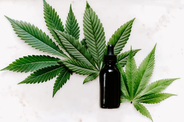 a bottle of cbd oil on top of a marijuana leaf