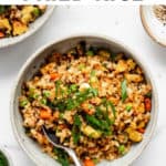 a bowl of vegan fried rice with sliced green onions