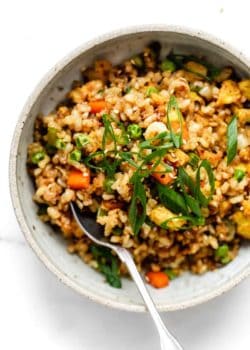top down image of vegan fried rice with sliced green onions on top