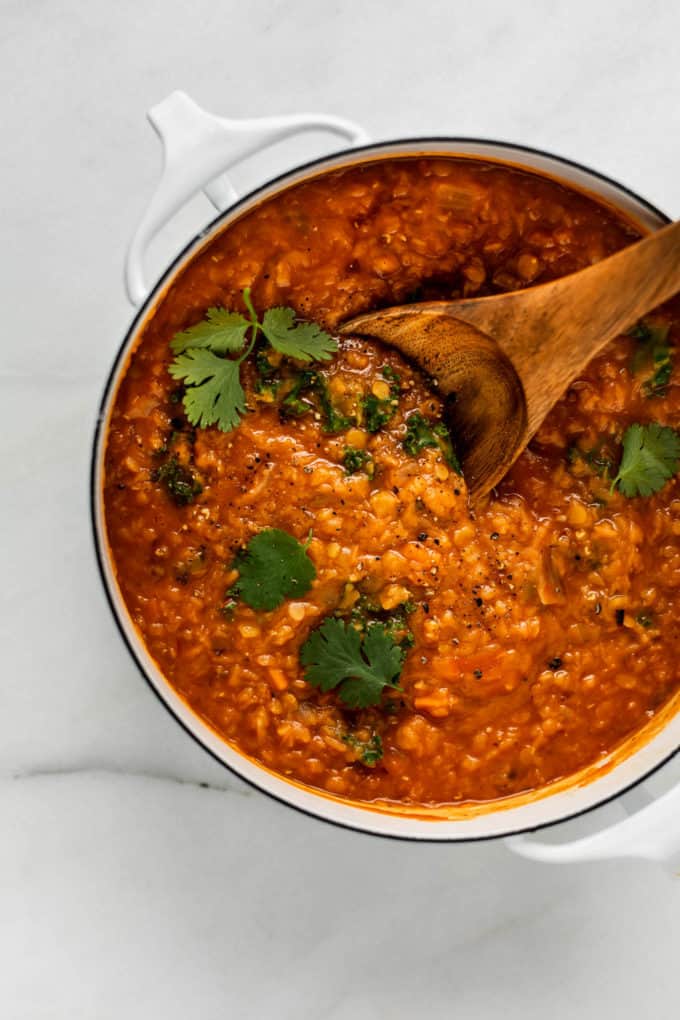 a white pot with red lentil curry in it with some cilantro on top
