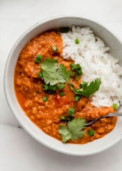 Red lentil curry in a white bowl topped with cilantro