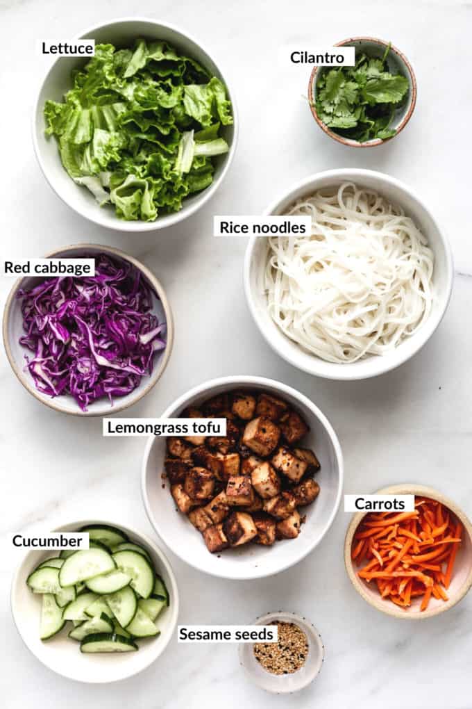 Ingredients for Vietnamese Noodle bowls