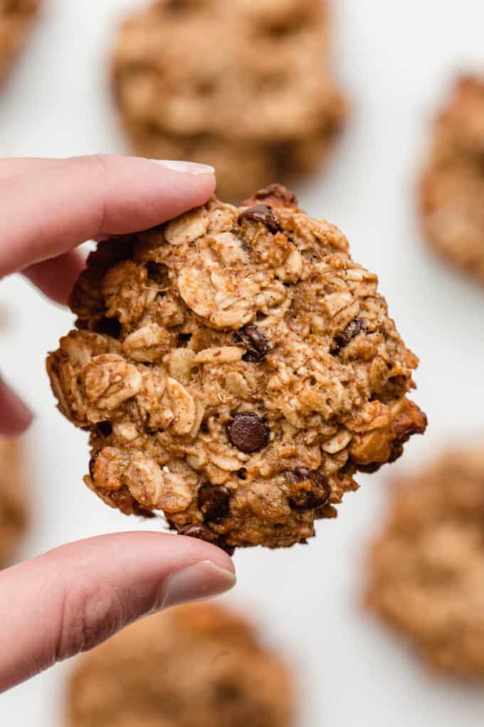 A hand holding an oatmeal banana cookie with chocolate chips
