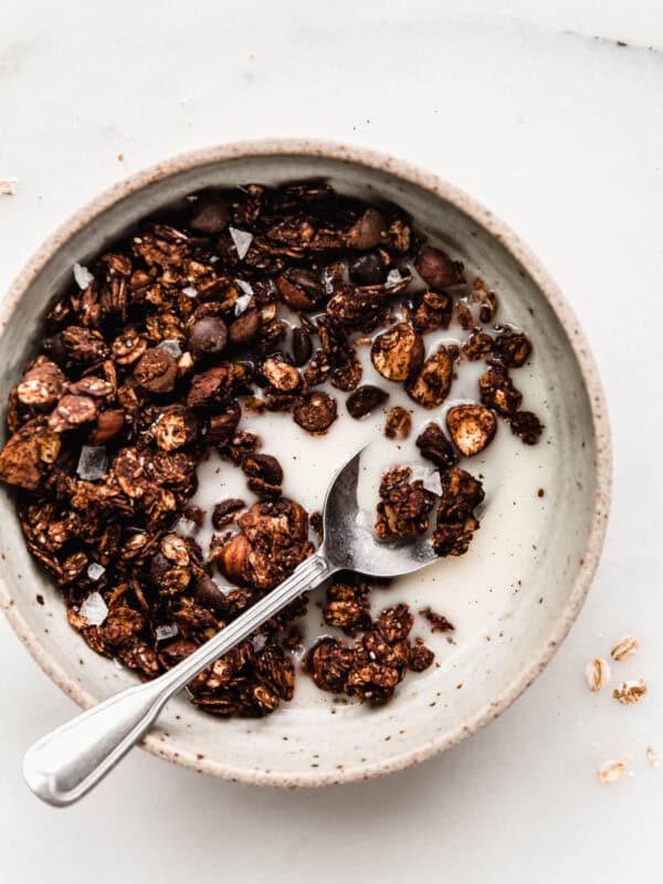 A bowl with chocolate granola and a spoon in it