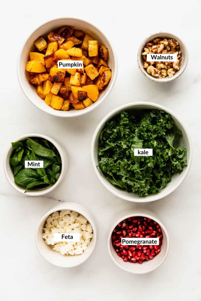 A flat lay of ingredients to make roasted pumpkin salad
