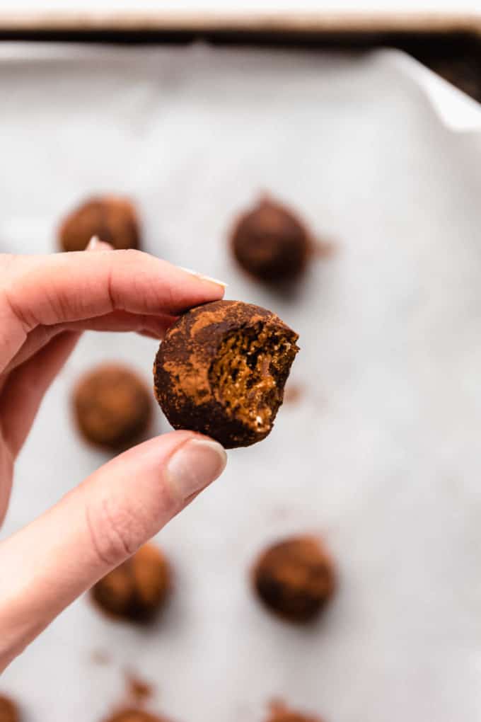 a hand holding a gingerbread truffle with a bite taken out of it