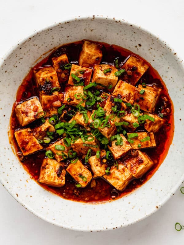 mapo tofu in a white speckled bowl topped with scallions