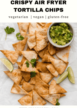 Crispy Air Fryer Tortilla Chips Recipe