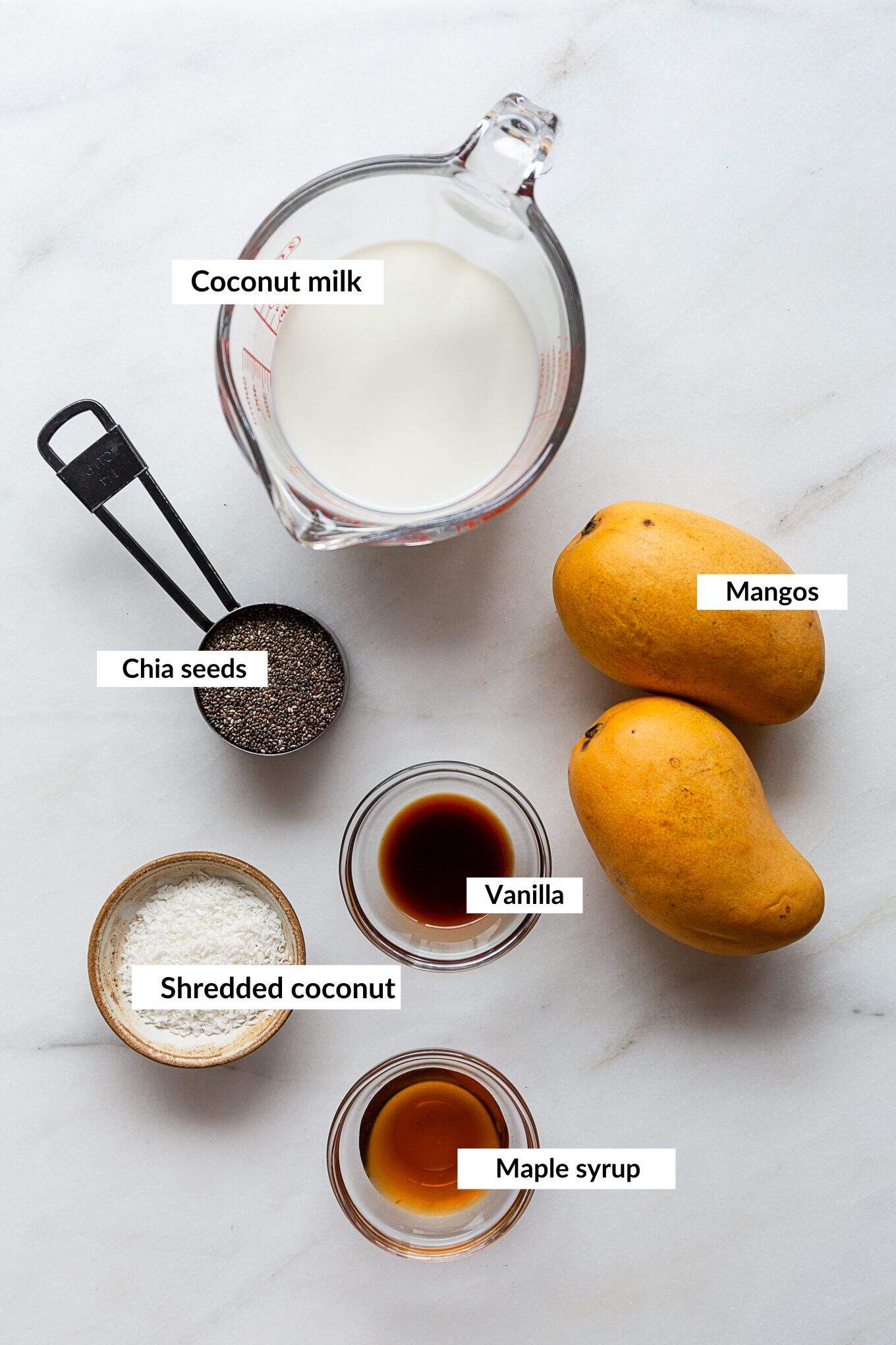 ingredients for coconut mango chia pudding.