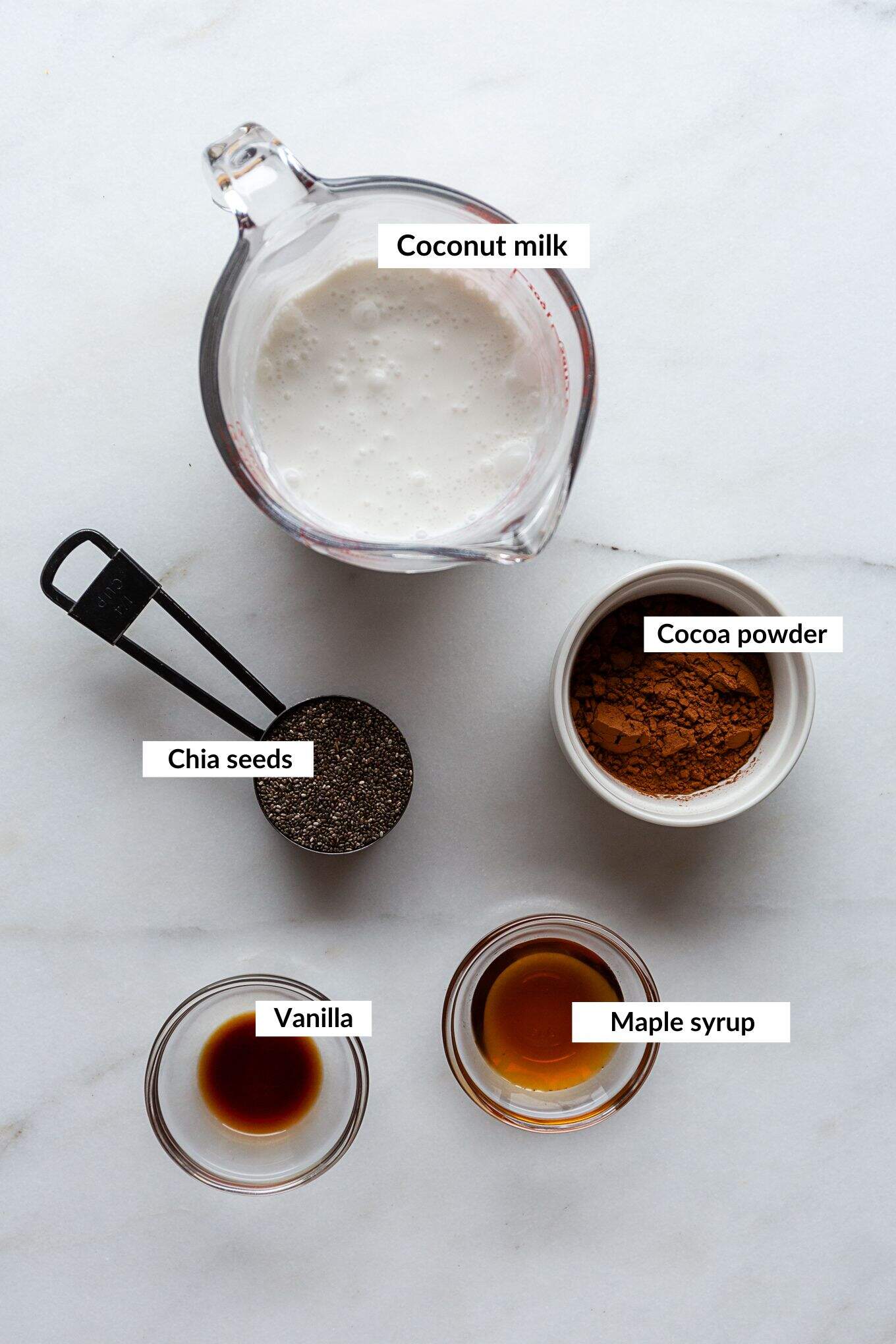Ingredients to make chocolate chia pudding.
