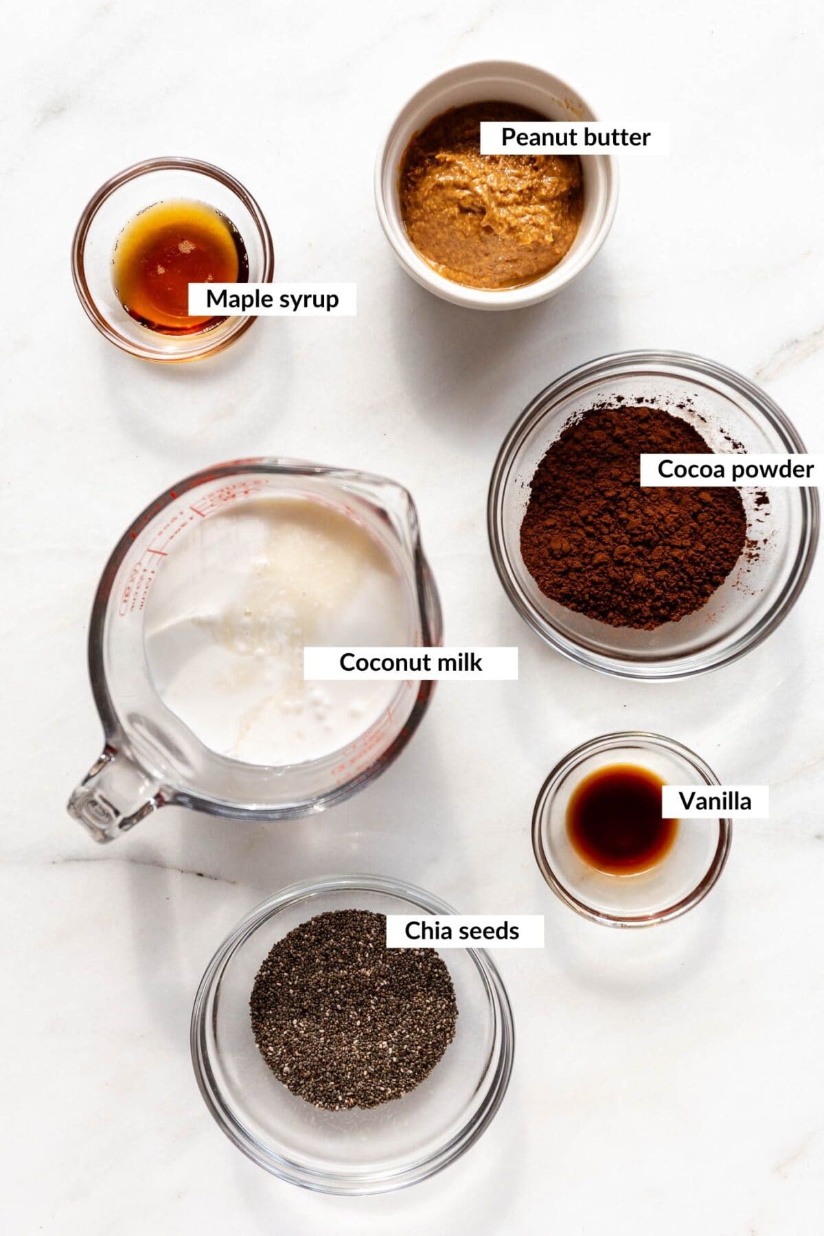 Ingredients for peanut butter chocolate chia pudding.